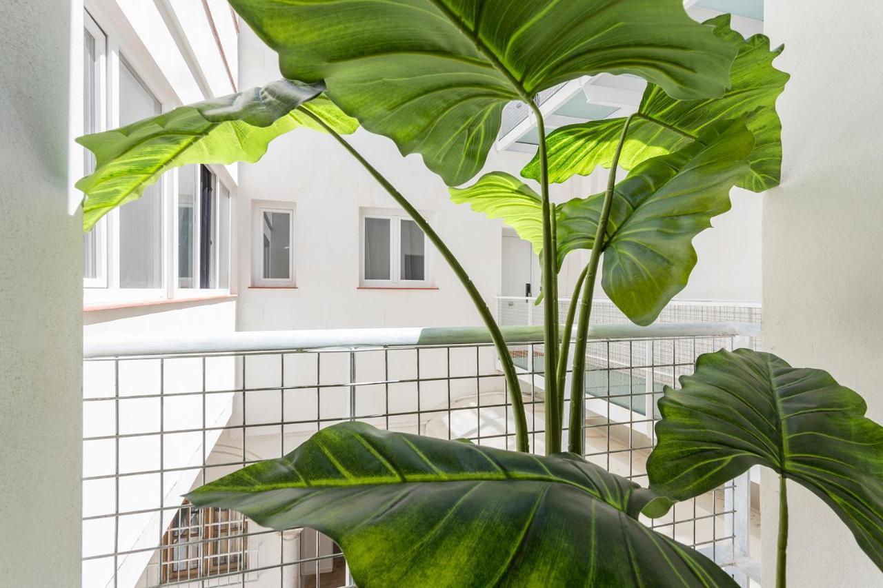 Dona Blanca Centro Diseno Minimalista Διαμέρισμα Χέρεζ Εξωτερικό φωτογραφία